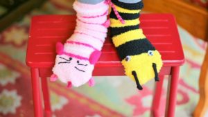 What is anthrozoology