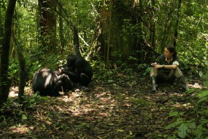 Dr. Catherine Hobaiter - Studying how chimpanzees communicate