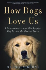How Dogs Love Us by Gregory Berns - an insight into how dogs think