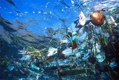 Plastic in the North Pacific Gyre (photo courtesy Algalita Marine Research Foundation)